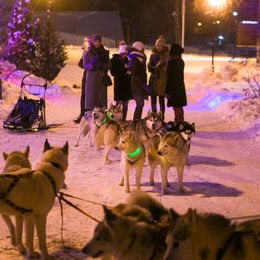 Свадьба в ресторане Времена Года