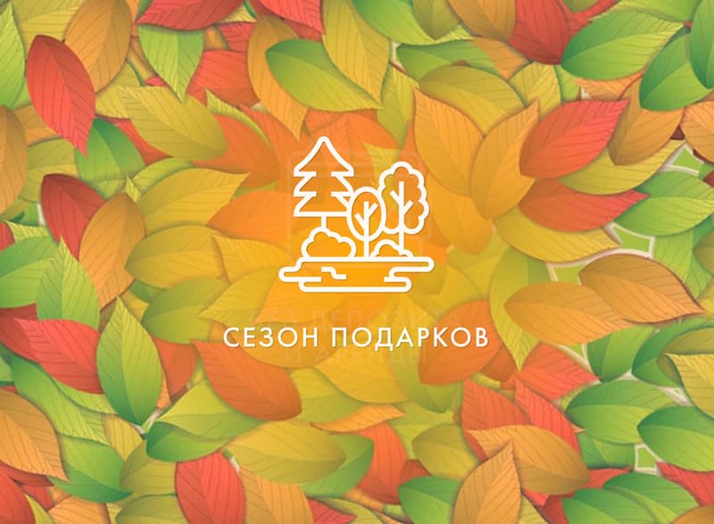 Сезон подарков от ресторана «Времена года»